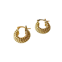 Load image into Gallery viewer, TIGRIS - EUPHRATES - ABYDOS Earrings